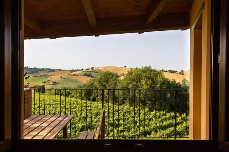 Agriturismo Vecchio Gelso Ortezzano Екстериор снимка