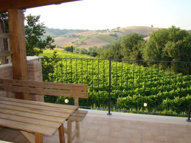 Agriturismo Vecchio Gelso Ortezzano Екстериор снимка
