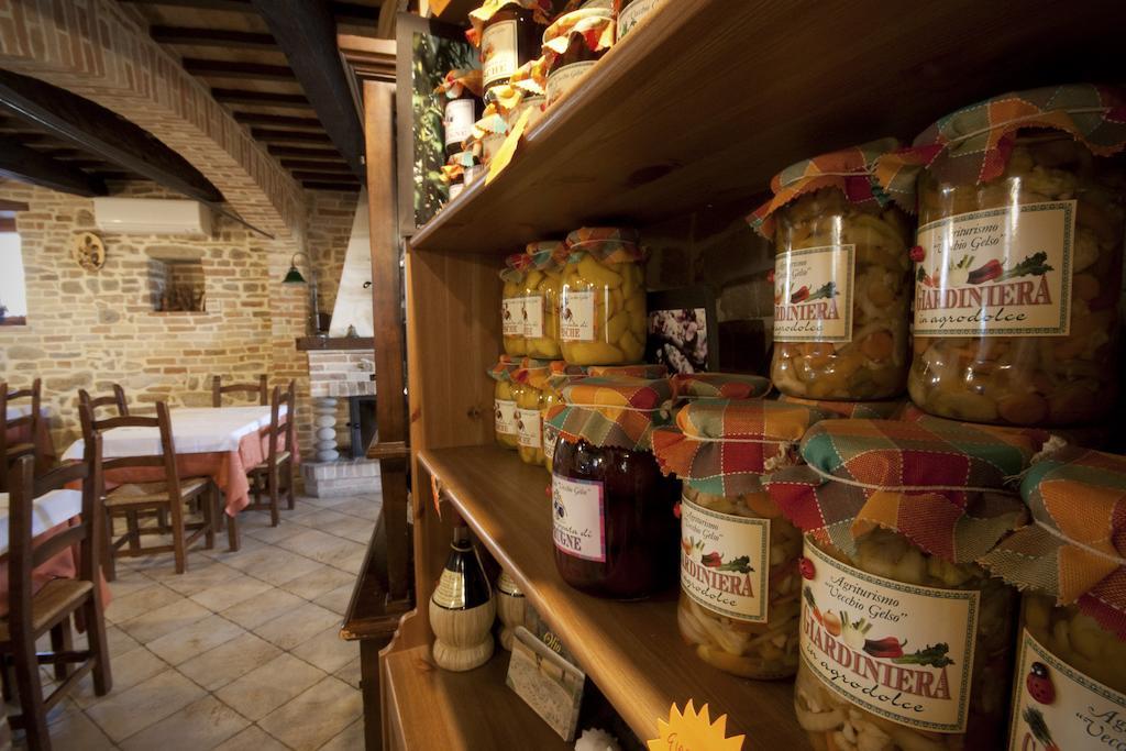 Agriturismo Vecchio Gelso Ortezzano Екстериор снимка