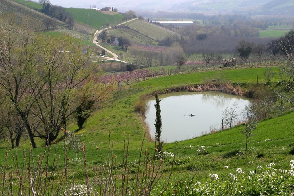 Agriturismo Vecchio Gelso Ortezzano Екстериор снимка