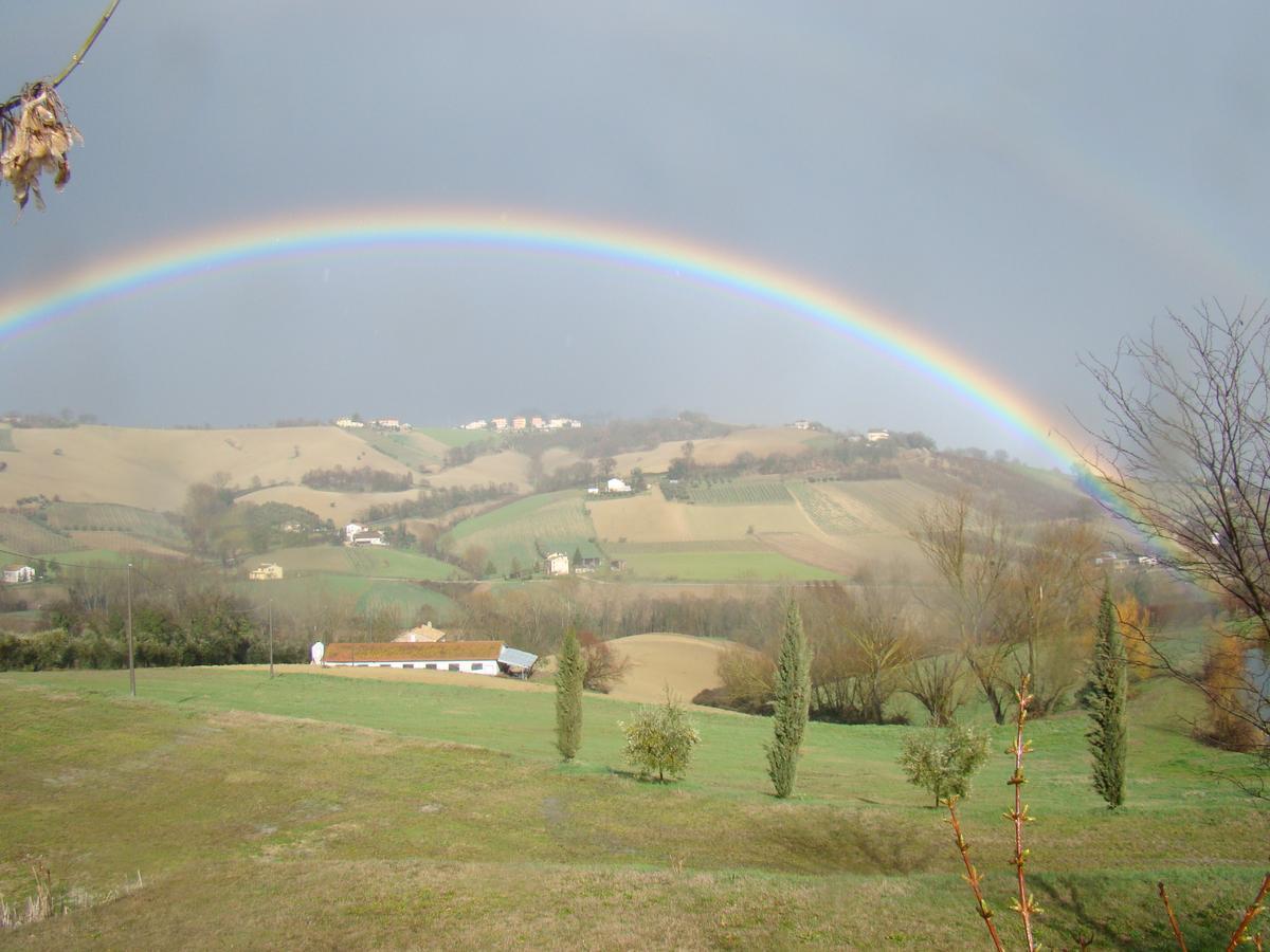 Agriturismo Vecchio Gelso Ortezzano Екстериор снимка