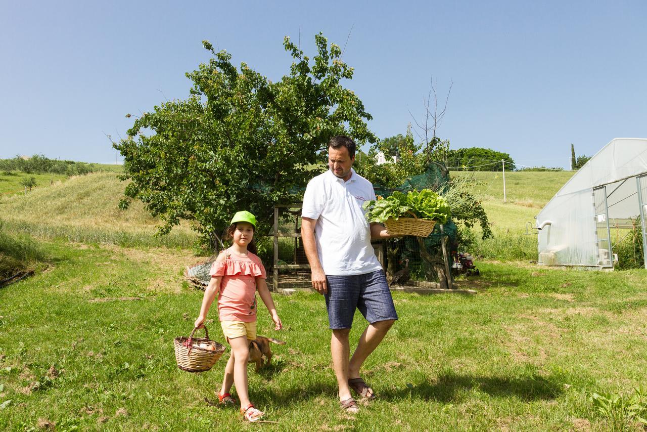 Agriturismo Vecchio Gelso Ortezzano Екстериор снимка
